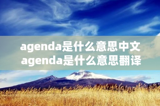 agenda是什么意思中文 agenda是什么意思翻译
