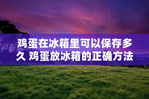鸡蛋在冰箱里可以保存多久 鸡蛋放冰箱的正确方法