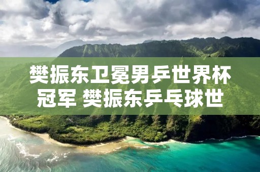 樊振东卫冕男乒世界杯冠军 樊振东乒乓球世乒赛男单决赛