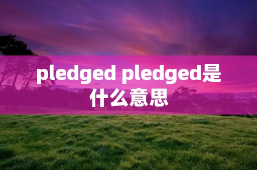 pledged pledged是什么意思