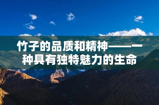 竹子的品质和精神——一种具有独特魅力的生命