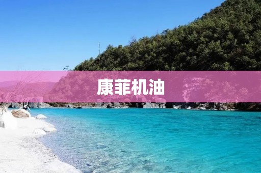 康菲机油：保护您的引擎，让您的车始终保持最佳状态