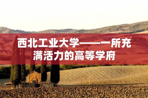西北工业大学——一所充满活力的高等学府