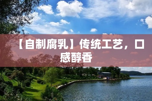 【自制腐乳】传统工艺,口感醇香 【自制腐乳】传统工艺,口感醇香
