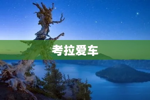 考拉爱车：让你的出行更加省心