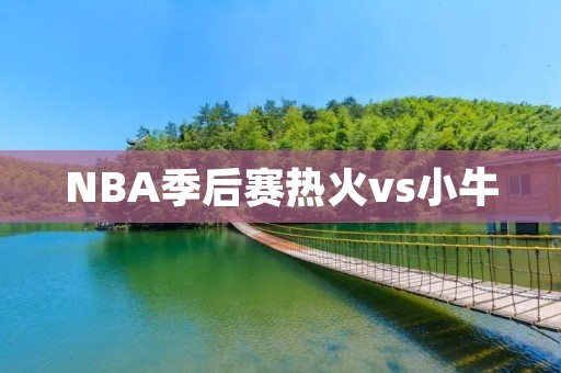 NBA季后赛热火vs小牛：比赛回顾