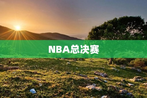 NBA总决赛：热火vs雷霆，谁将问鼎总冠军？