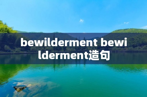 bewilderment bewilderment造句
