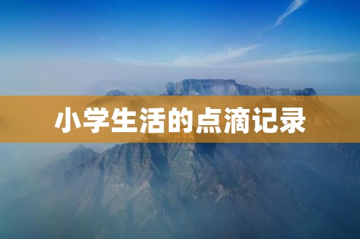 小学生活的点滴记录 小学生活的点滴记录