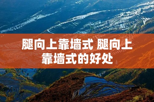 腿向上靠墙式 腿向上靠墙式的好处