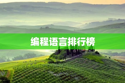 编程语言排行榜:2021年最热门的编程语言