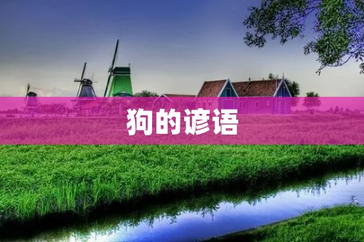 狗的谚语:狗是人类最忠实的朋友 狗的谚语:狗是人类最忠实的朋友