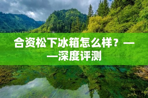 合资松下冰箱怎么样?——深度评测 合资松下冰箱怎么样?——深度评测