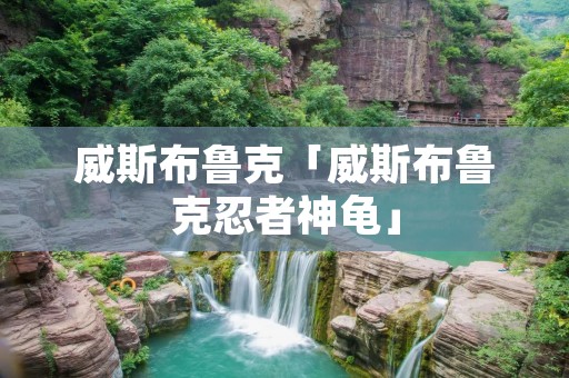 威斯布鲁克「威斯布鲁克忍者神龟」