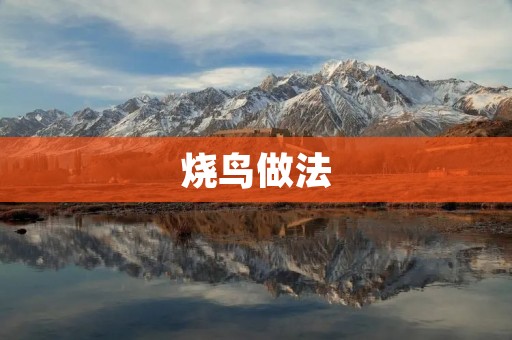 烧鸟做法:让你轻松掌握的美食技巧 烧鸟做法:让你轻松掌握的美食技巧