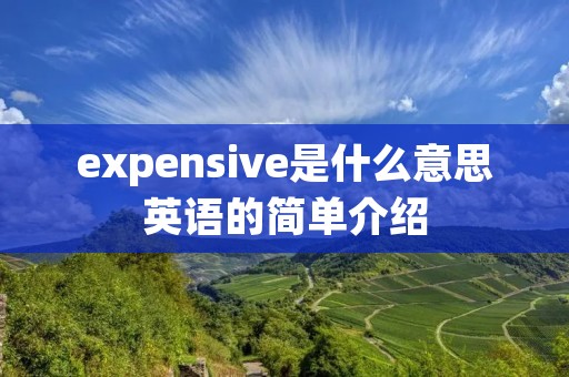 expensive是什么意思英语的简单介绍