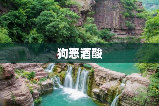 狗恶酒酸:探究宠物狗酸中毒的原因和预防方法 狗恶酒酸:探究宠物狗酸中毒的原因和预防方法