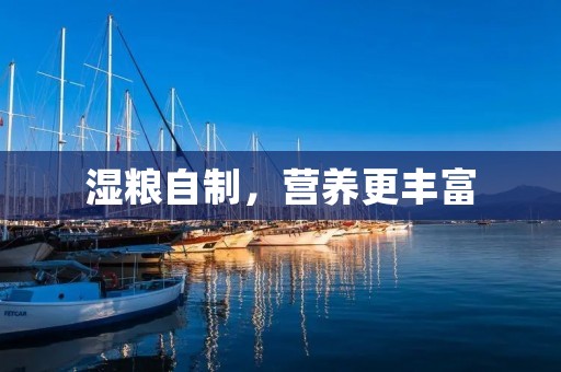 湿粮自制,营养更丰富 湿粮自制,营养更丰富