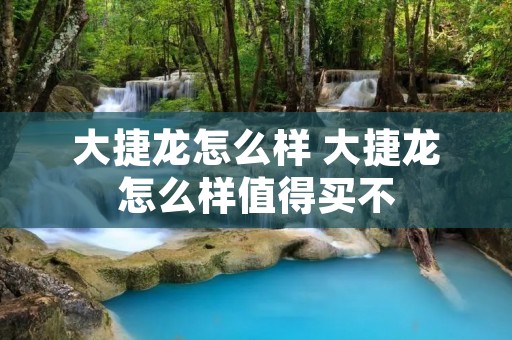 大捷龙怎么样 大捷龙怎么样值得买不 大捷龙怎么样 大捷龙怎么样值得买不