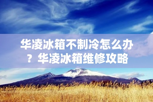 华凌冰箱不制冷怎么办?华凌冰箱维修攻略 华凌冰箱不制冷怎么办?华凌冰箱维修攻略