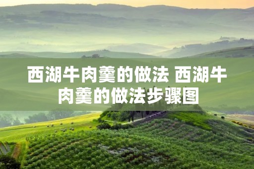 西湖牛肉羹的做法 西湖牛肉羹的做法步骤图