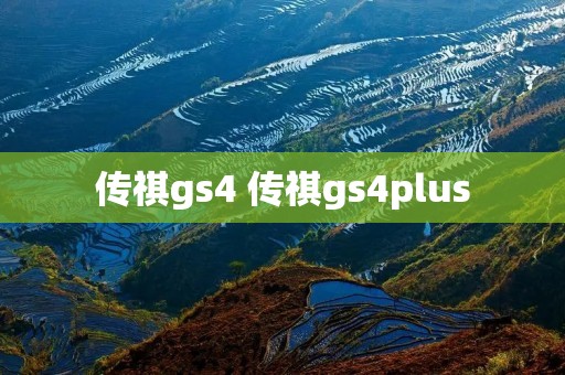 传祺gs4 传祺gs4plus 传祺gs4 传祺gs4plus