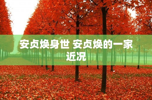 安贞焕身世 安贞焕的一家近况