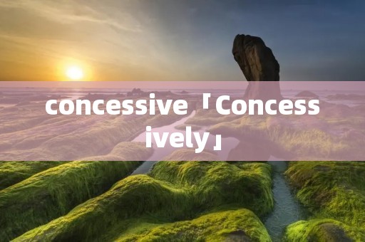 concessive「Concessively」