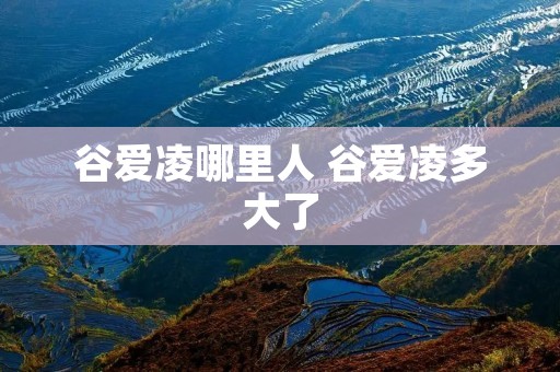 谷爱凌哪里人 谷爱凌多大了