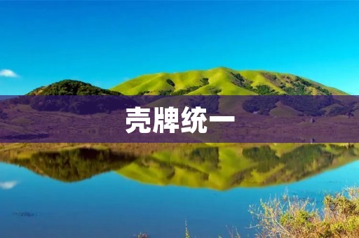 壳牌统一：全球性能领先的汽车润滑油品牌