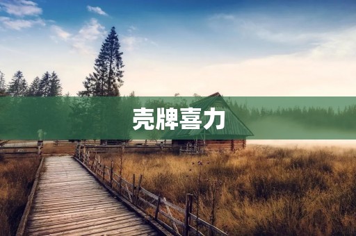 壳牌喜力：打造全球领先的能源品牌