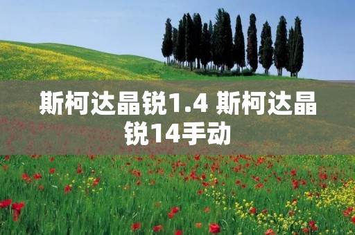 斯柯达晶锐1.4 斯柯达晶锐14手动