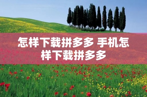 怎样下载拼多多 手机怎样下载拼多多