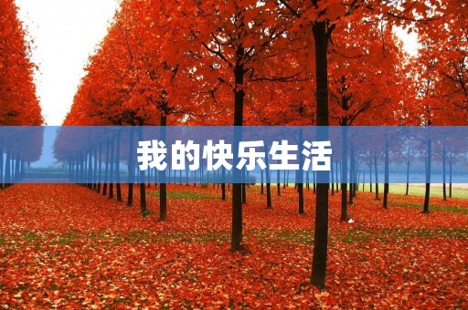 我的快乐生活 我的快乐生活