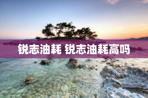 锐志油耗 锐志油耗高吗 锐志油耗 锐志油耗高吗