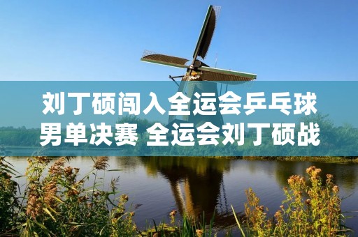 刘丁硕闯入全运会乒乓球男单决赛 全运会刘丁硕战绩