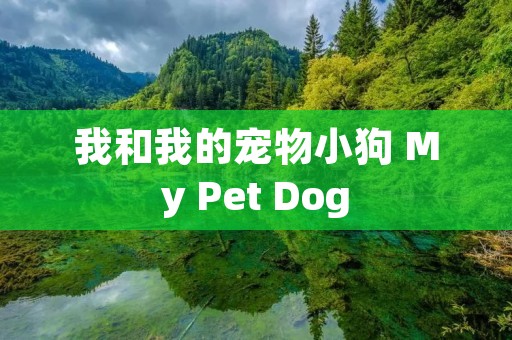 我和我的宠物小狗 My Pet Dog 我和我的宠物小狗 My Pet Dog