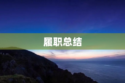 履职总结:回顾成就、挑战与展望