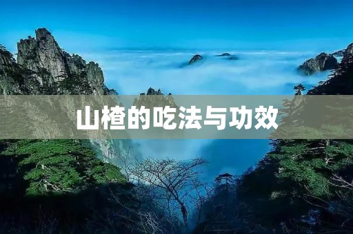 山楂的吃法与功效 山楂的吃法与功效