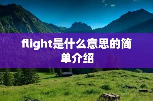 flight是什么意思的简单介绍