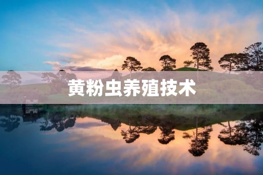 黄粉虫养殖技术 黄粉虫养殖技术