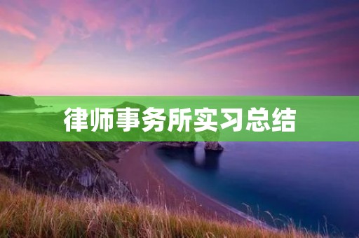 律师事务所实习总结