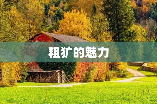粗犷的魅力:探究粗犷的意思