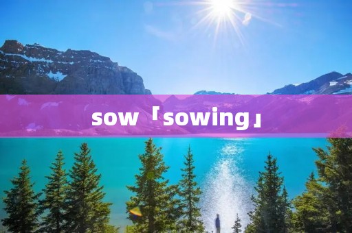 sow「sowing」
