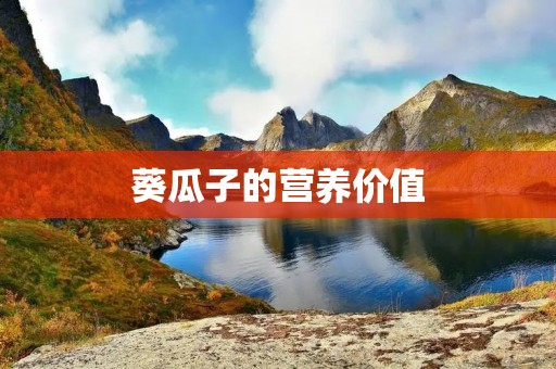 葵瓜子的营养价值 葵瓜子的营养价值