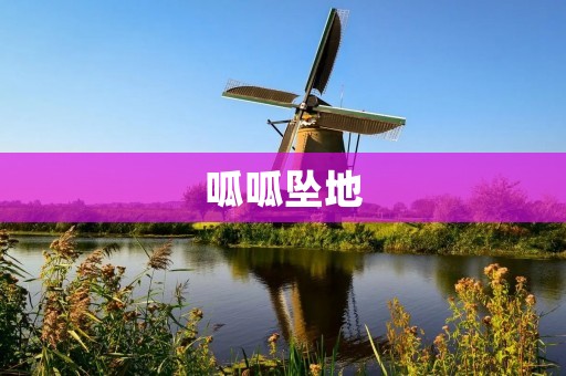 呱呱坠地:新生儿的第一哭声 呱呱坠地:新生儿的第一哭声