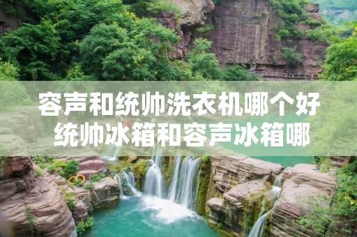 容声和统帅洗衣机哪个好 统帅冰箱和容声冰箱哪个好 容声和统帅洗衣机哪个好 统帅冰箱和容声冰箱哪个好