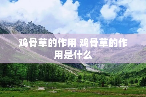 鸡骨草的作用 鸡骨草的作用是什么