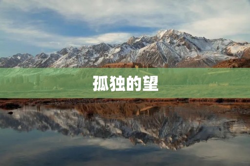 孤独的望：一个人的思考与感受