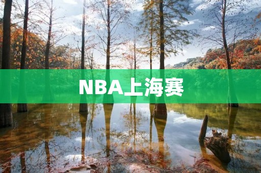 NBA上海赛：“热火”与“篮网”上演精彩对决